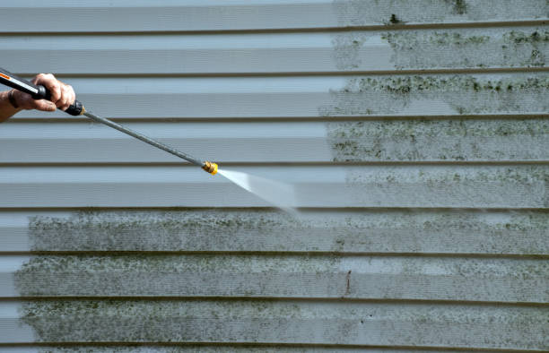 Professional Pressure Washing in Meggett, SC